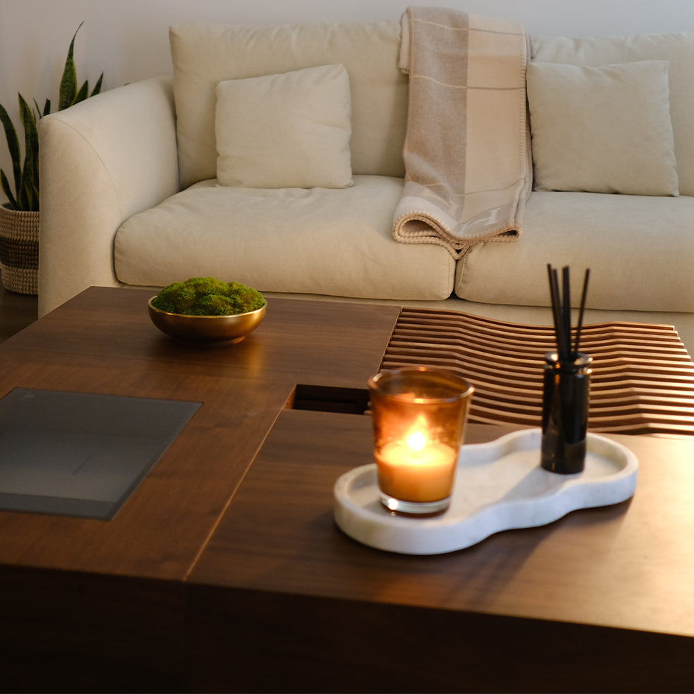 POVISON Mid-Century Modern Wood Veneer Coffee Table with Drawers 100cm Walnut